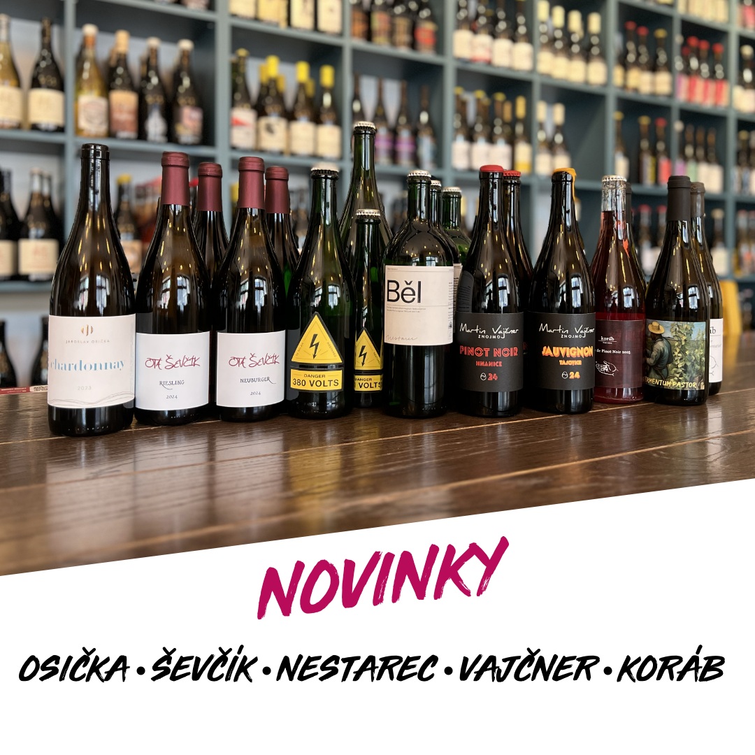 Nestarec Vajcner Osicka Sevcik KOrab
