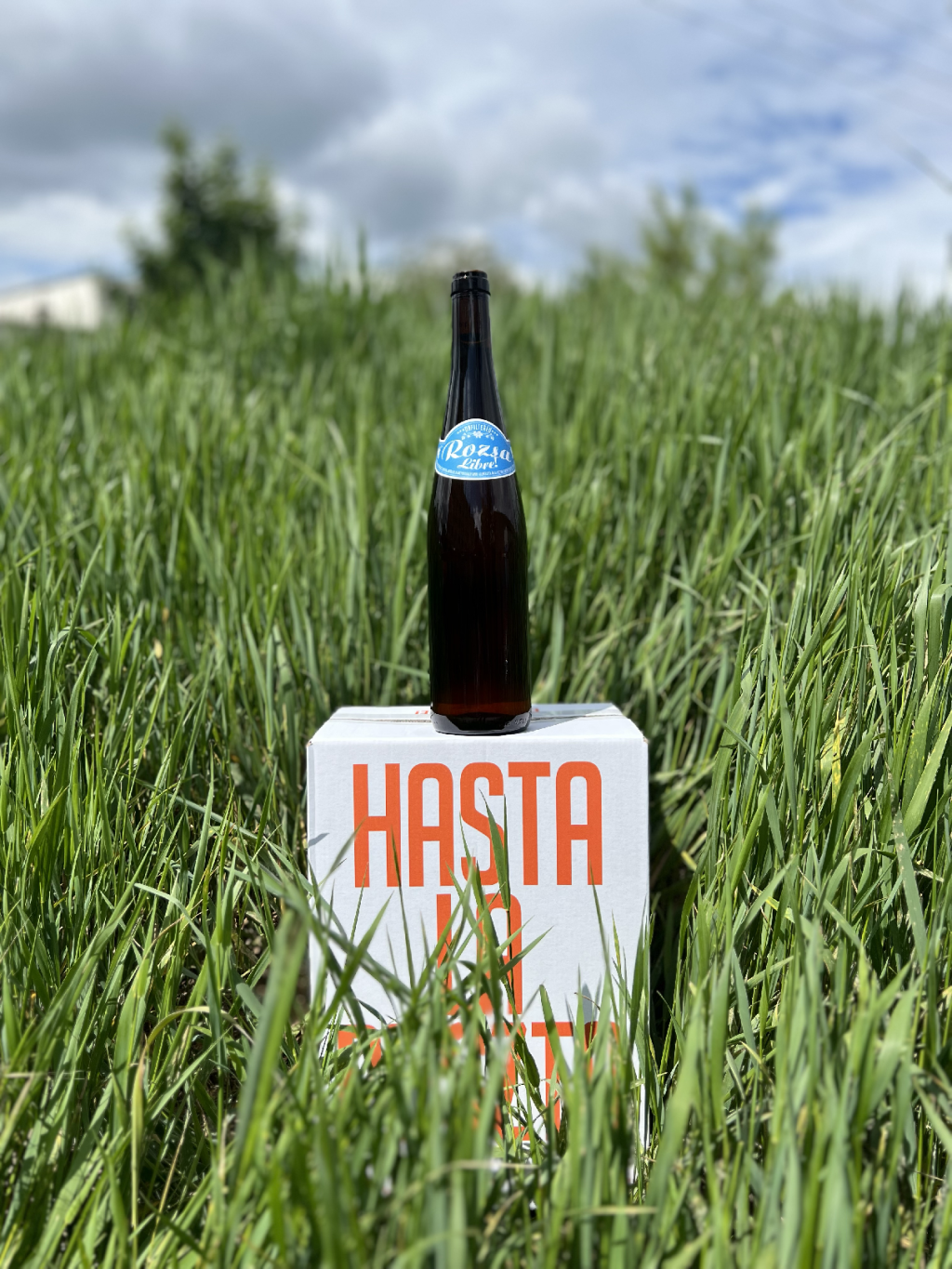 Rosé natural wines | HokusPokus.wine
