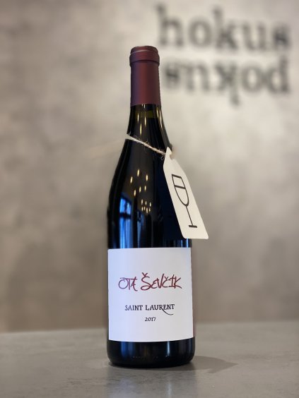 Ota Ševčík - Saint Lauren 2017