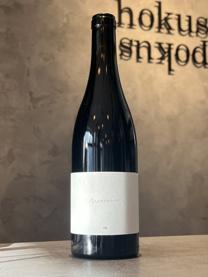 Milan Nestarec - JIL 2022