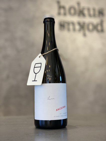 Claus Preisinger - Ancestral 2019