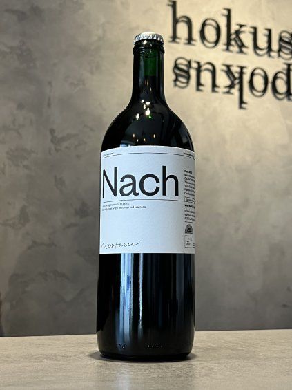 Milan Nestarec - Nach 2025