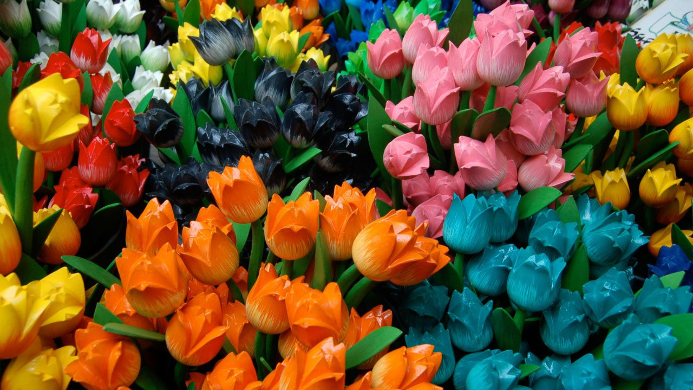 Vyberte to správně. Co symbolizují jednotlivé barvy květin