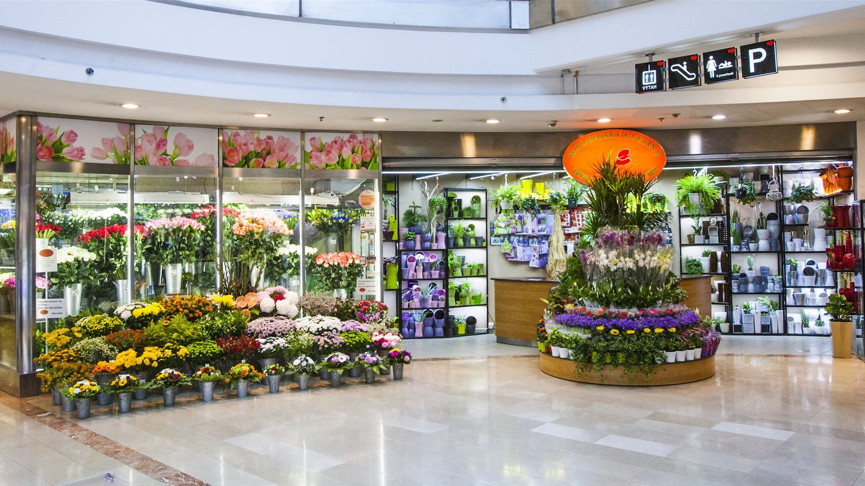 Holandské květiny Atrium Flora