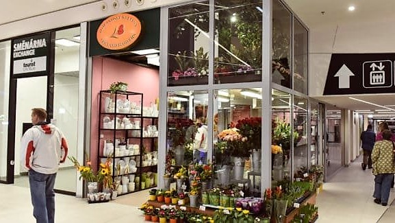 Holandské květiny Central Jablonec