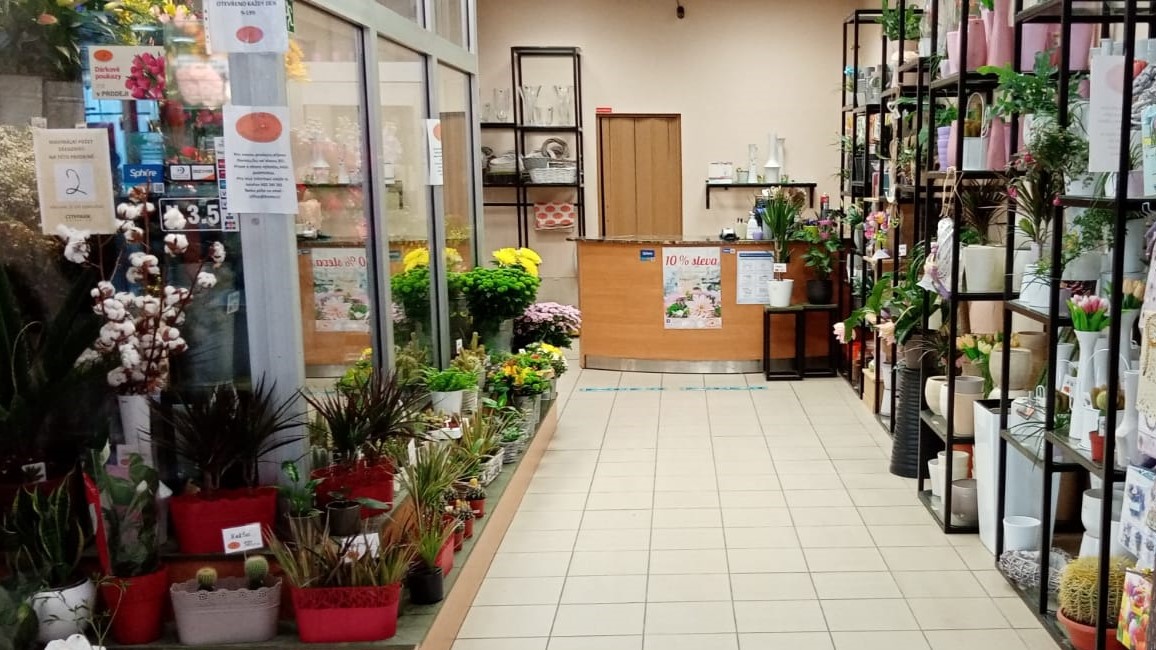 Holandské květiny City park Jihlava