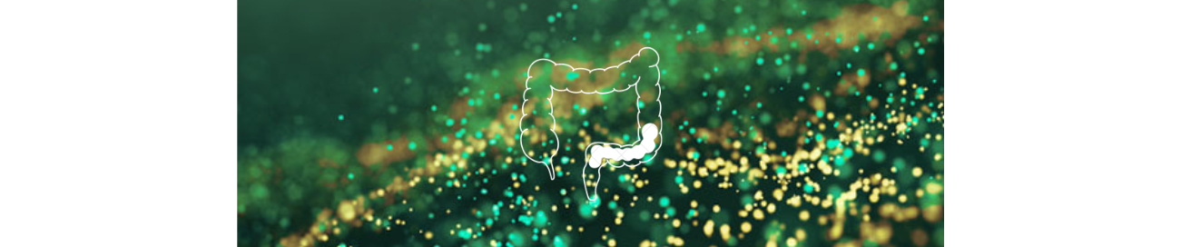 Špecifické výhody probiotík pre ženy s PCOS