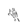 bird2