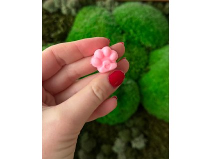 Squishies - tlapka malá