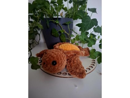 Dýňová želvička