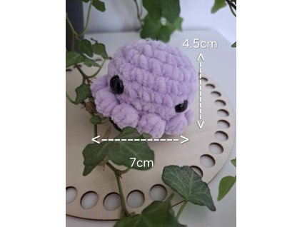 WhatsApp Image 2025 09 12 at 13.00.29 3999bab3