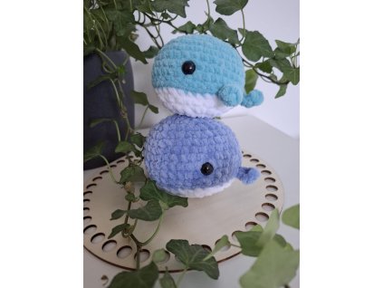 WhatsApp Image 2025 09 12 at 13.00.30 a54f9404