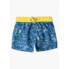 Chlapecké plavky s potiskem (Barva Modrá, Velikost 92)
