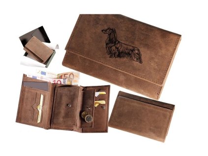 penezenka 16009 jezevcik dlouhosrsty 1