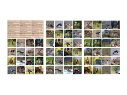 pexeso za zviratky bez ohradky