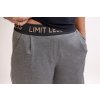 Dámské kalhoty Limitless šedé