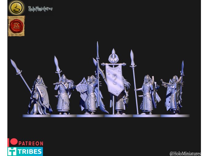 High elves spearmen unit with lion pelts(Lion order  upgrades)