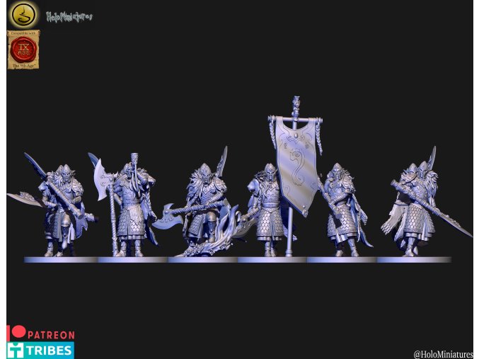 High elves Knights of the Lion order (new version)