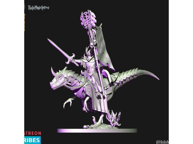 Dark elves BSB on Raptor
