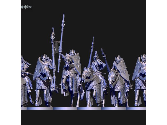 High elves Silver Lancers unit