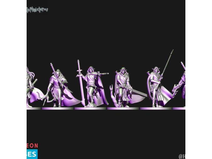 Dark elves Raven cloacks with great weapons (elf)