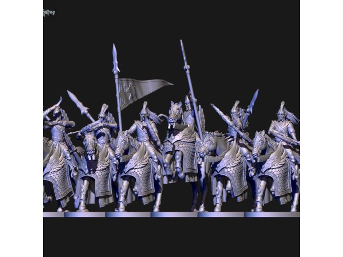 720X720 cela 2 kopie