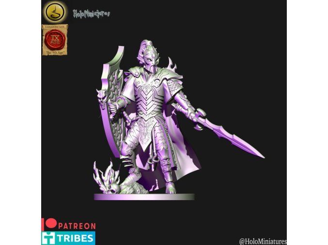Dark elves Lord with Shield (digital file)