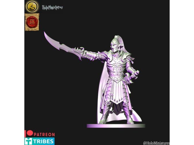 Dark elves Lord with two hand weapons (digital file)