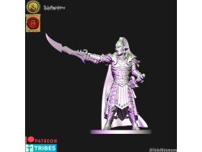 Dark elves Lord with two hand weapons (digital file)