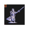 High elves Lord with hand weapon and shield