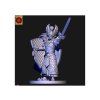 High elves Lord with hand weapon and shield