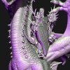 Dark elves Black dragon with Dreadlord or Sorceress
