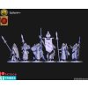 High elves spearmen unit with lion pelts(Chrancian upgrades)