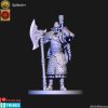 High elves Knights of the Lion order (new version)