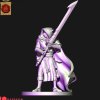 Dark elves Raven cloacks with great weapons (digital file)