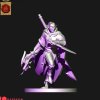 Dark elves Raven cloacks with great weapons (digital file)