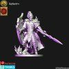 Dark elves Lord with Shield (digital file)