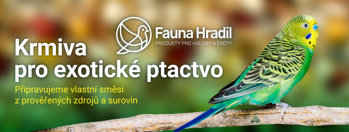 Exotické ptactvo