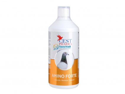 AMINO FORTE  500ml