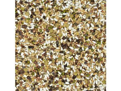 DB strona www 600x600