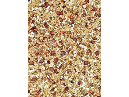 Sky Race Lekkostrawna