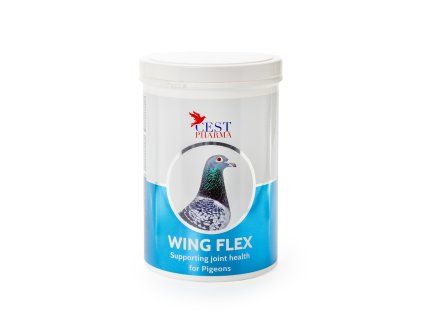 4. Poza Wing Flex 600gr1