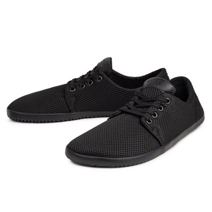 ahinsa bindu airnet black olomouc