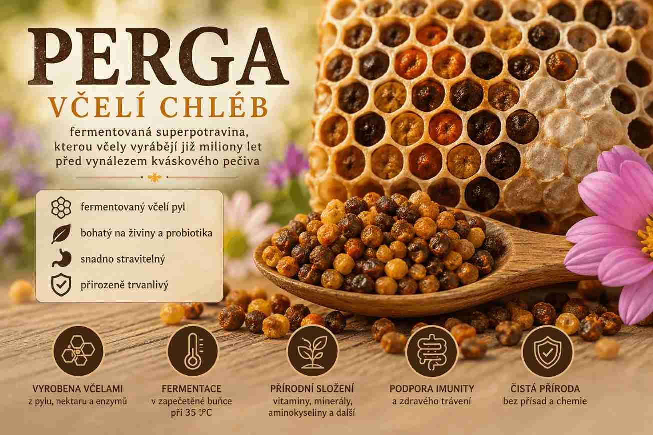 Perga (včelí chléb): fermentovaná superpotravina ze včelího úlu