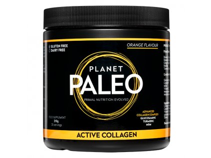 PLANET PALEO - Hydrolyzovaný hovězí kolagen pro sportovce, oslabenou imunitu a záněty - ACTIVE COLLAGEN