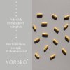 4.NOR NAD plus Synergy 40 kapslí 2