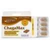 chagamax north american