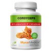 cordyceps_50%_mycomedica