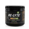 Re-Lyte® Electrolytes - Mango 375g