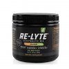 Re-Lyte® Electrolytes - Mango 375g